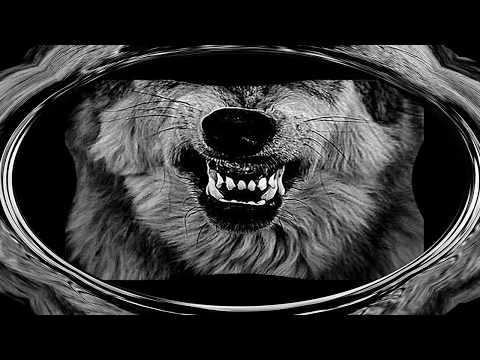 REAL x LOKY x BRUCE LUEES | ES SERIO, ENSERIO | MLOOPS - RAIZZ PRO