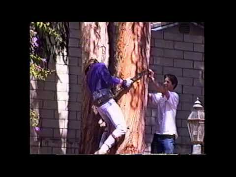 California Lifestyles 1995