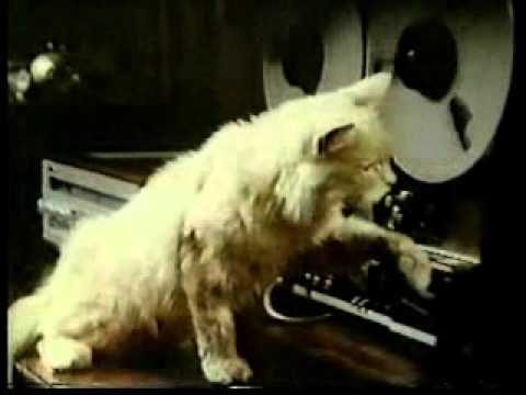 CBS Wednesday Promos - October 1978