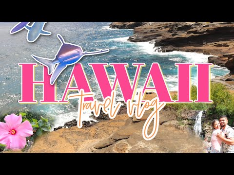 HAWAII TRAVEL VLOG | Shark Cage Diving, Exploring Honolulu, & Enjoying Life!