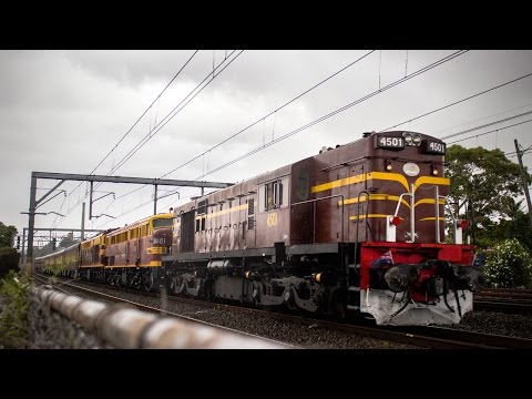 4501/4401/42101 - Kandos Tour passing Burwood