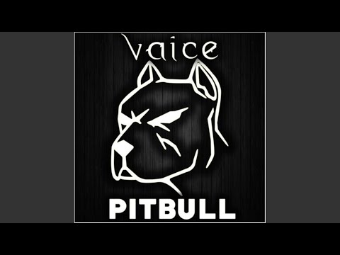 Pitbull - Vaice