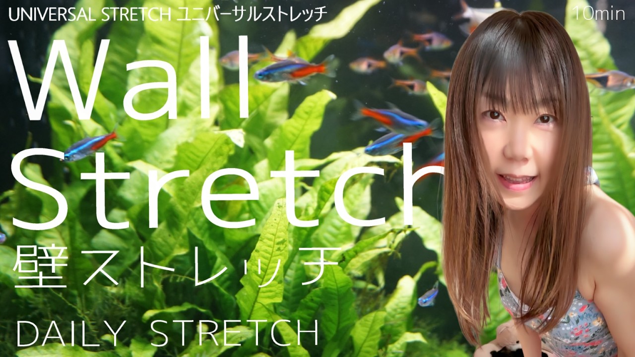 【DailyStretch】Wall Stretch 壁ストレッチ