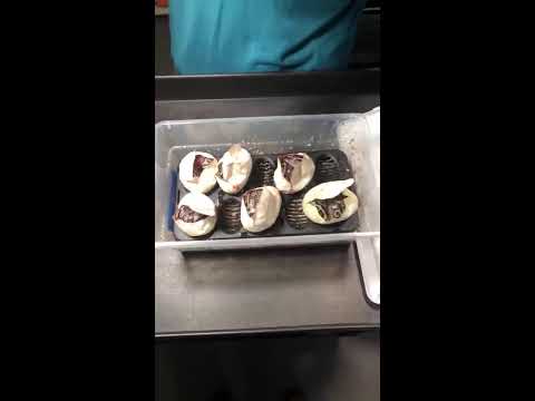 Prismatic Reptiles Live Stream