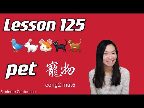 Lesson 125: Pet in Cantonese #learncantonese