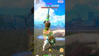 トロピカルキャノンG9(ブースト) #星9次元変異パオウルムー #モンハンnow #ガンランス #paolumu #目覚めの一撃