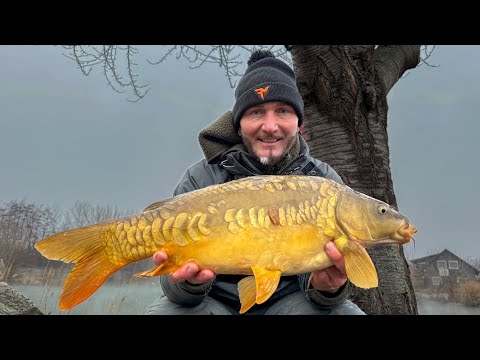 FEEDERMANIA - Párkányi Pontyok 2025 januar. Winter Carp Fishing in the thermal water.