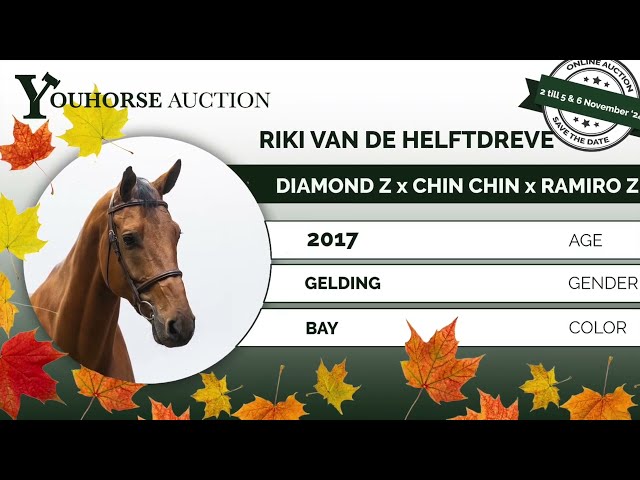 Riki van de Helftdreve eventing