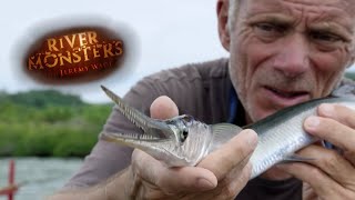Catching A Needlefish - River Monsters