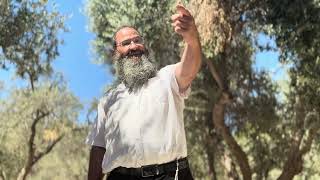 יש לנו על מי להישען | הרב מאיר גולדמינץ (ישיבת הר הבית) - התמונה מוצגת ישירות מתוך אתר האינטרנט יוטיוב. זכויות היוצרים בתמונה שייכות ליוצרה. קישור קרדיט למקור התוכן נמצא בתוך דף הסרטון יש לנו על מי להישען | הרב מאיר גולדמינץ (ישיבת הר הבית) - התמונה מוצגת ישירות מתוך אתר האינטרנט יוטיוב. זכויות היוצרים בתמונה שייכות ליוצרה. קישור קרדיט למקור התוכן נמצא בתוך דף הסרטון