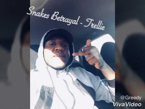 Snakes Betrayal- Trellie
