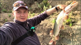 Рыбалка на щуку летом с берега