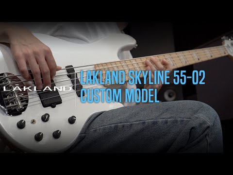 Lakland Skyline 55-02 Custom Model Demo - ‘Emotional Medley’ by Bassist 장우영 (Wooyoung Jang)