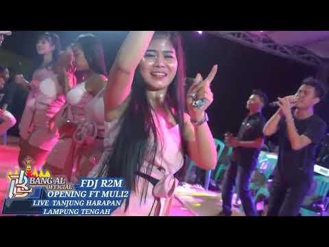 SYILA MUSIK TERBARU//OPPENING ALL ARTIS TANJUNG HARAPAN 2022