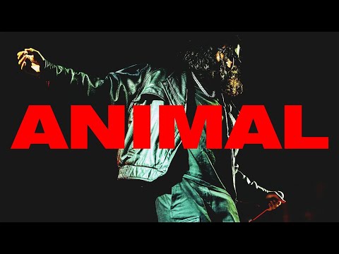 ANIMAL FREESTYLE | The Road To Ready