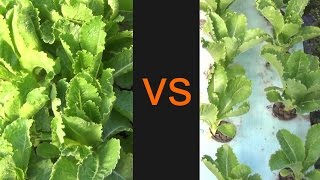 &#39;Air&#39; On The Side Of Caution - Part 1