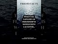 Woven With Laughter Shorts Psychologyfacts Subscribe