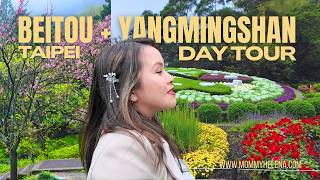TAIPEI BEITOU &amp;amp; YANGMINGSHAN DAY TOUR 🇹🇼 | Thermal Valley, Qingtiangang &amp;amp; More