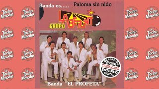 laberinto paloma sin nido