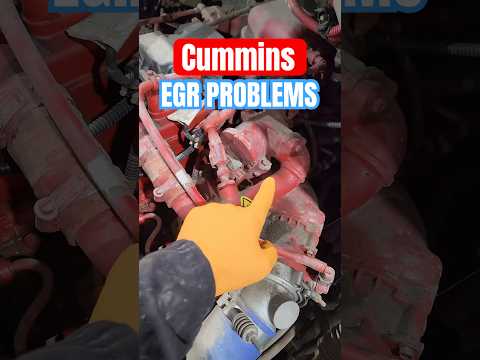Cummins Diesel EGR PROBLEMS 👎👎 Very Common on our Trucks #cummins #Ram #automobile