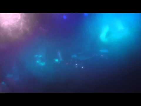 Drome Reunion  - 12th March 2016.  Camcorder 1 of 4 -  DJ Chris Butler