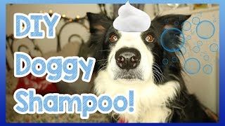 Cheap Homemade Doggy Shampoo! How to Make Your DIY Dog Shampoo for Puppies and Dogs!