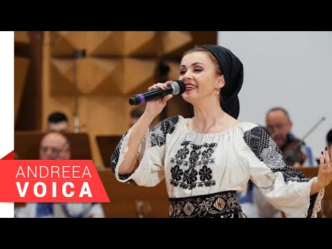 Andreea Voica -Ansamblul Timisul - Esti sufletul meu pereche - spectacol
