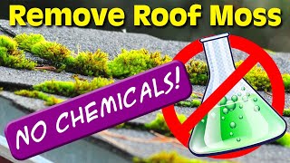 How to Remove Moss Off a Roof - Chemical-free, environmental/pet/kid friendly