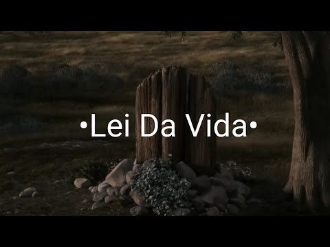 •Lei da Vida• Versão Disney (tente não chorar)