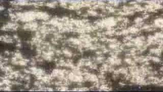 Gelka - Hidding place