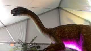preview picture of video 'Dinosaurs Alive Brookfield Zoo 2013'