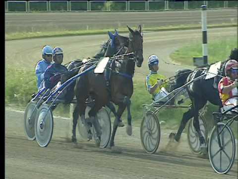 Trotto 26/05/2017 - 7ª corsa