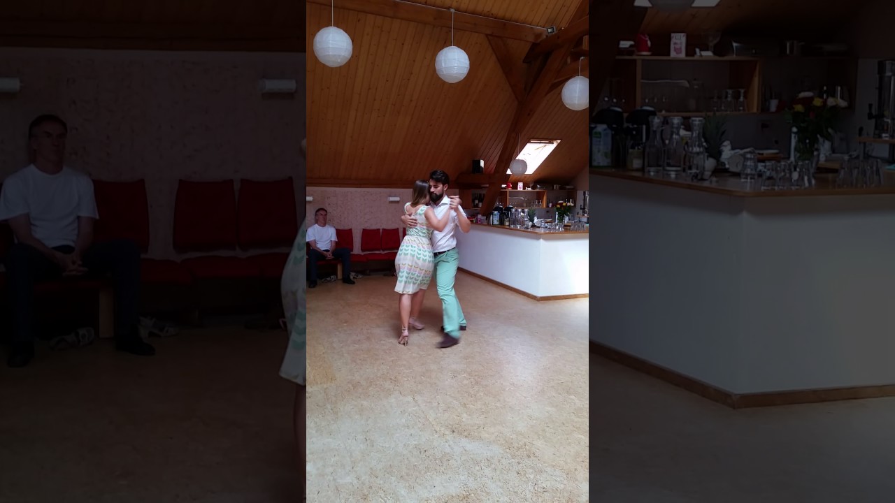 Maja Petrović  & Marko Miljević, resume of a vals lesson from Raspberry Hill