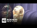 FIFA World Cup Trophy Arrives At Fanatics Fest Ahead Of Final