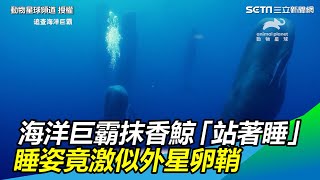 [討論] 可以同時躺著和站著的有誰?