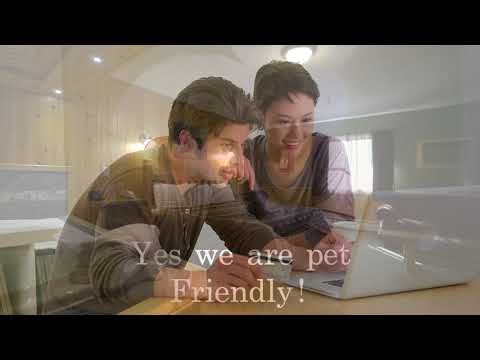 Vacationland Inns Pet Friendly Maine