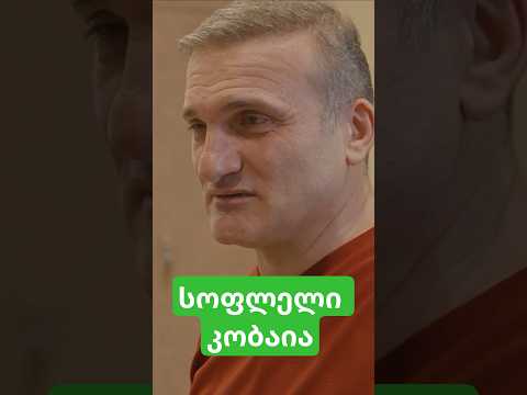 სოფლელი კობაია 🌳