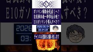 ガソリン補助金見直しへ？自民党鈴木俊一幹事長示唆？E10ガソリンを導入すべき？