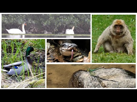 Weekly review 11/24/24 - 11/30/24 / Wochenrückblick 24.11.24 - 30.11.24