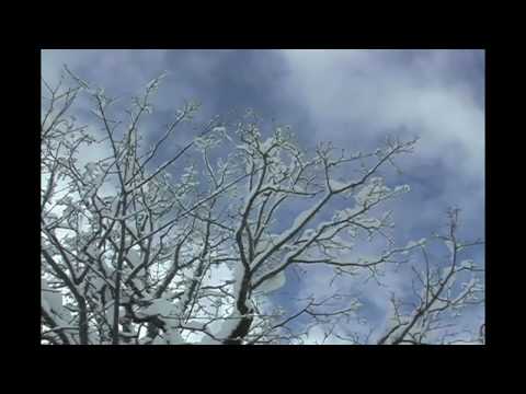 Walking in Braunwald