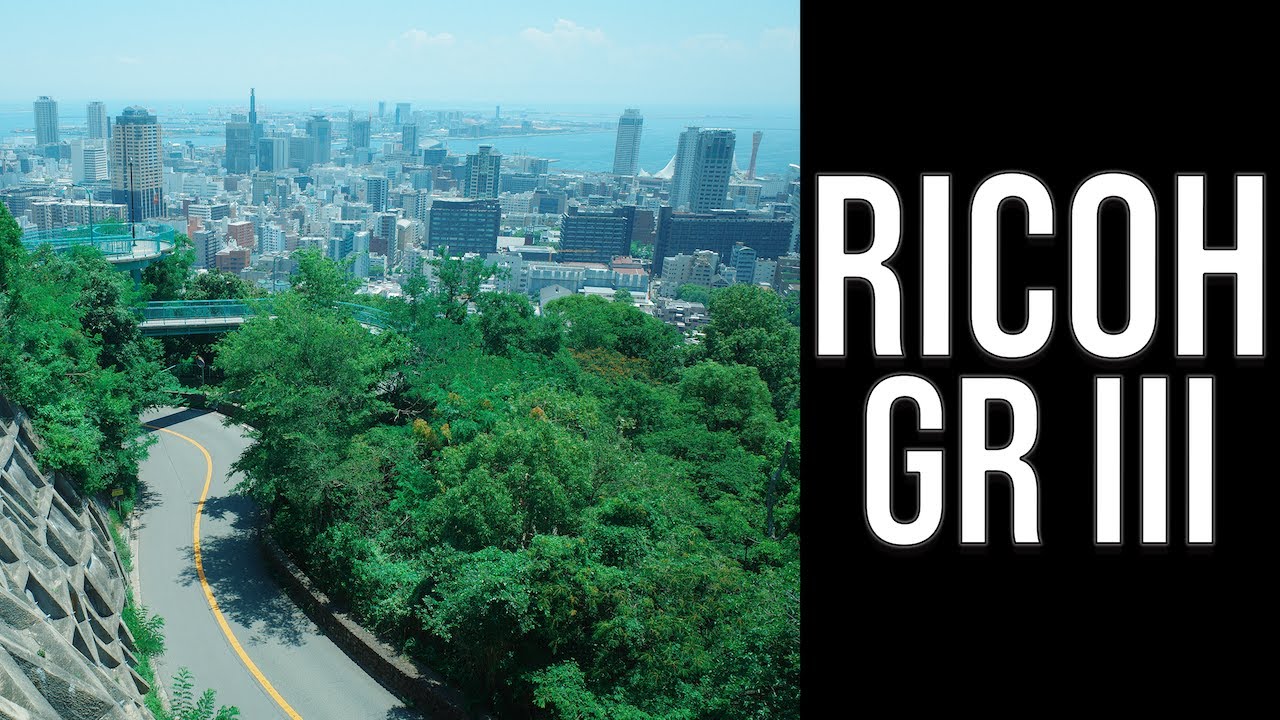 Discover the captivating highlights of Suwayama Park.