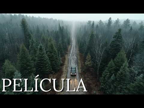 UN VETERANO REGRESA a casa y, durante un viaje al bosque, encuentra a un niño abandonado y solo