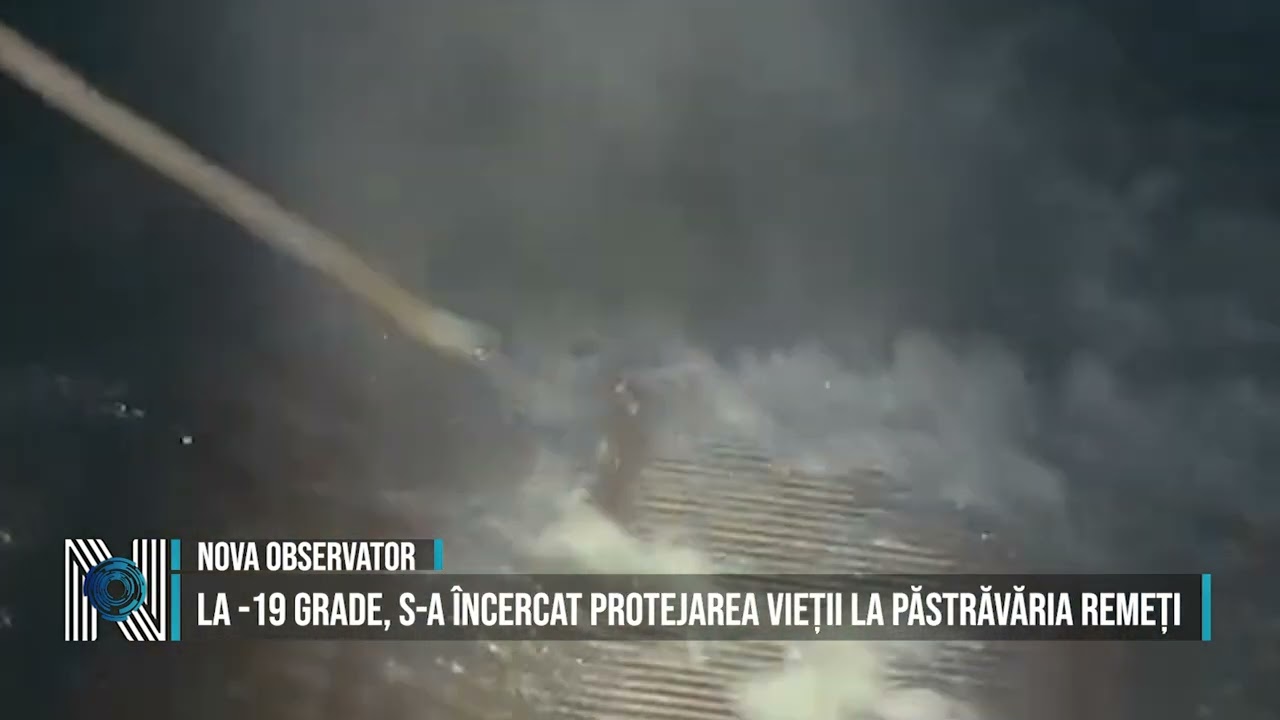 La -19 grade, s-a încercat protejarea vieții la Păstrăvăria Remeți