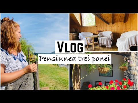 🇹🇩Vlog | Pensiunea trei ponei , Corbeni : Recomand această pensiune din Transfăgărășan | Booking