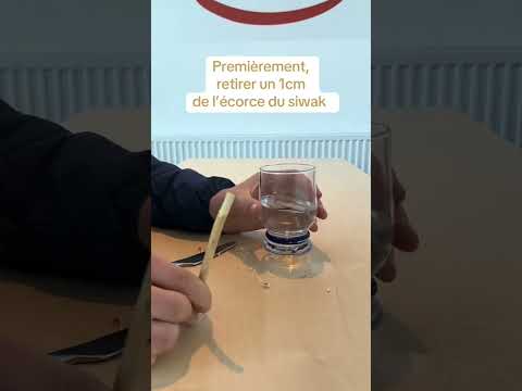 COMMENT UTILISER UN SIWAK ?! (Tuto Utilisation Siwak)