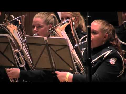 2014 DAO DM: Brassband