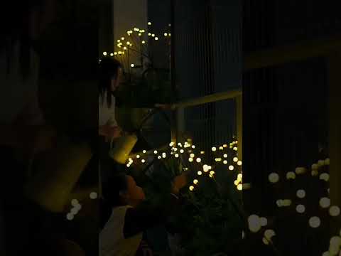 Solar Garden Firefly Lights Solar Garden Lights