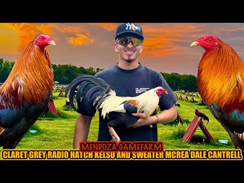 Claret Grey Radio Hatch Kelso And Sweater Mcrea Dale Cantrell ~ MENDOZA GAMEFARM