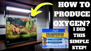 HOW TO: PRODUCE OXYGEN IN YOUR PLANTED TANK AQUARIUM