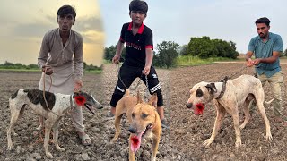 The challenge of Boly Dog's fights is going to be 😱😱